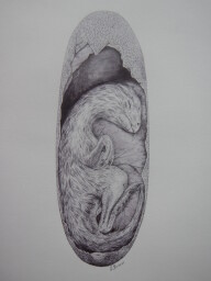 Embryo Bei bei long